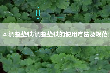 s83<a href='http://www.petronize.cn/jichuangdiantiexilie/' target='_blank' title='調(diào)整墊鐵' ><strong>調(diào)整墊鐵</strong></a>(調(diào)整墊鐵的使用方法及規(guī)范)